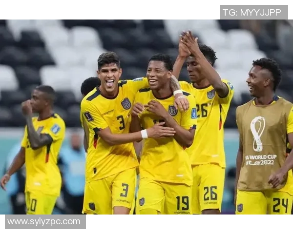 武汉羽毛球队在世界杯中的战术分析与表现评估