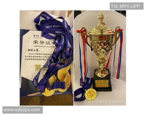 深圳羽毛球队与重庆羽毛球队赛后技术分析与战术总结 深圳羽毛球队与重庆羽毛球队赛后技术分析与战术总结