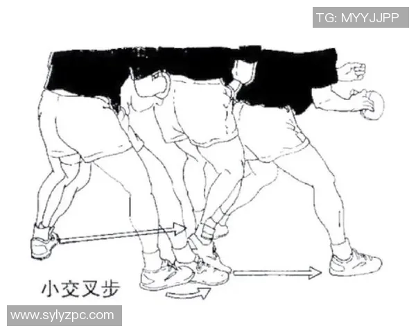 深圳羽毛球队战术深度解析与训练策略探讨 深圳羽毛球队战术深度解析与训练策略探讨