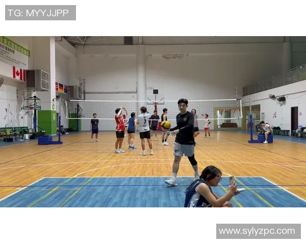 排球焦点：重庆排球队的灵活性探讨