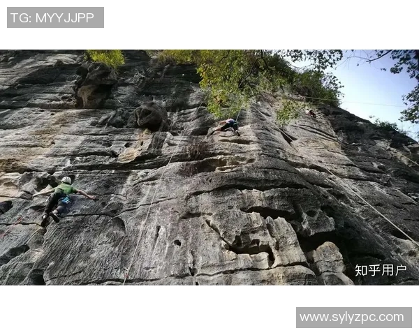 陈娜独家:分享攀岩心得