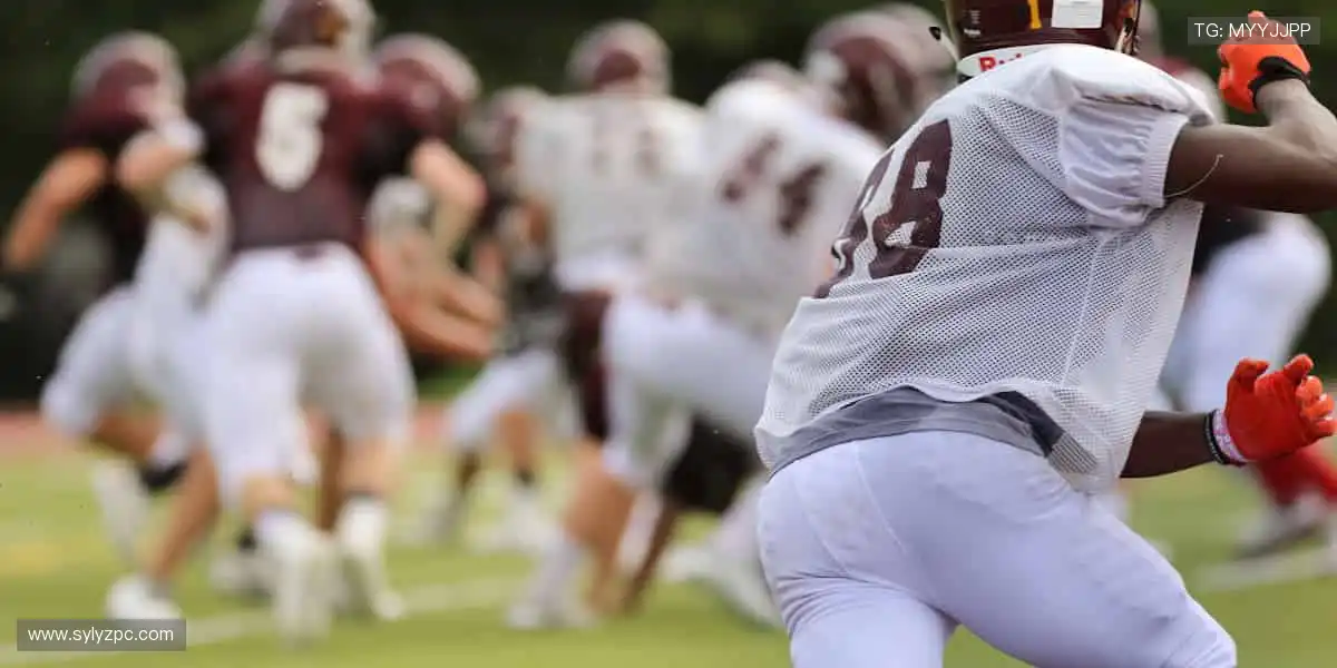 海量正版周边，让热爱触手可及！🎁⚽️🏀❤️